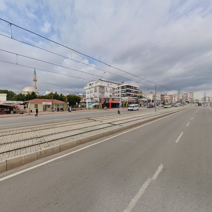 Fotoğraf 9