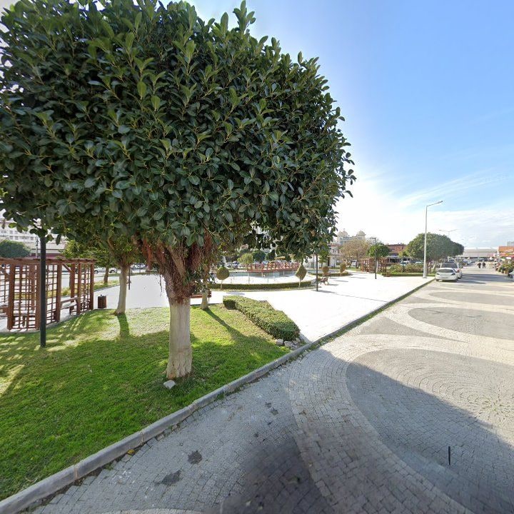 Fotoğraf 10