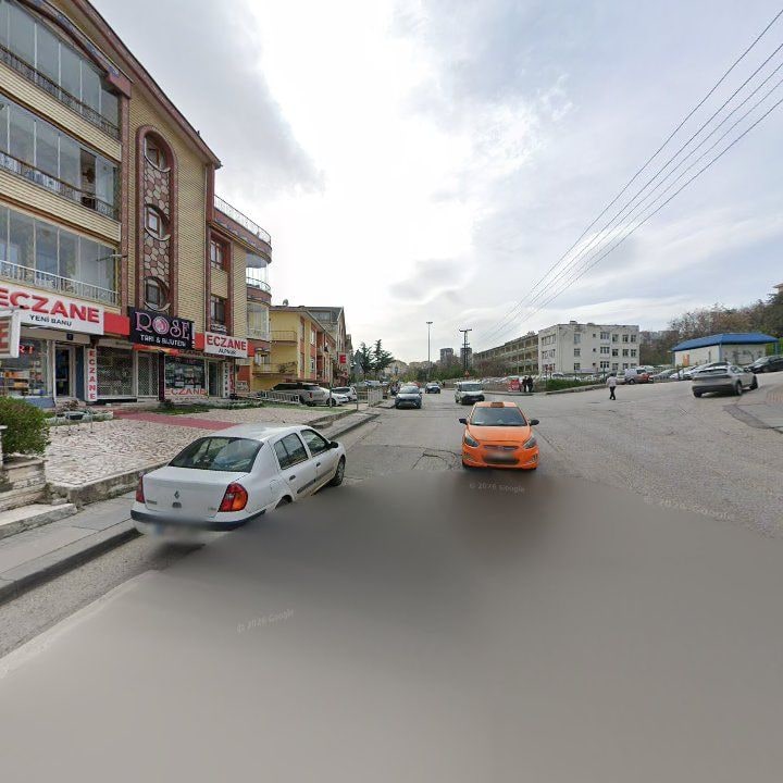 Fotoğraf 12