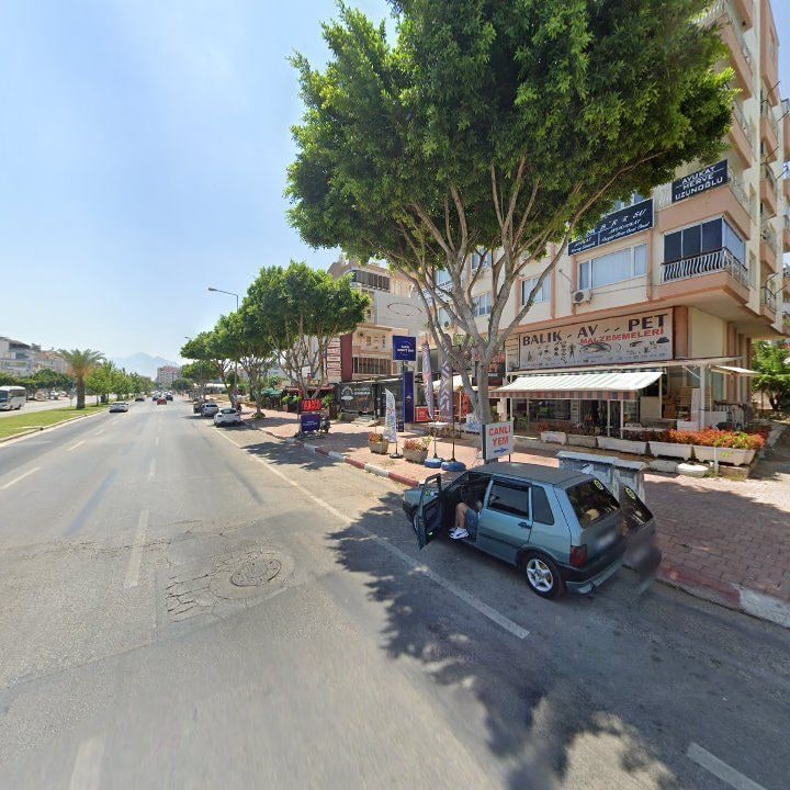 Fotoğraf 9