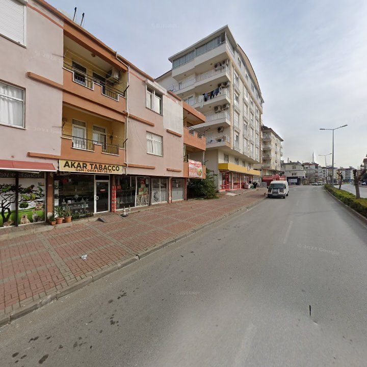 Fotoğraf 3