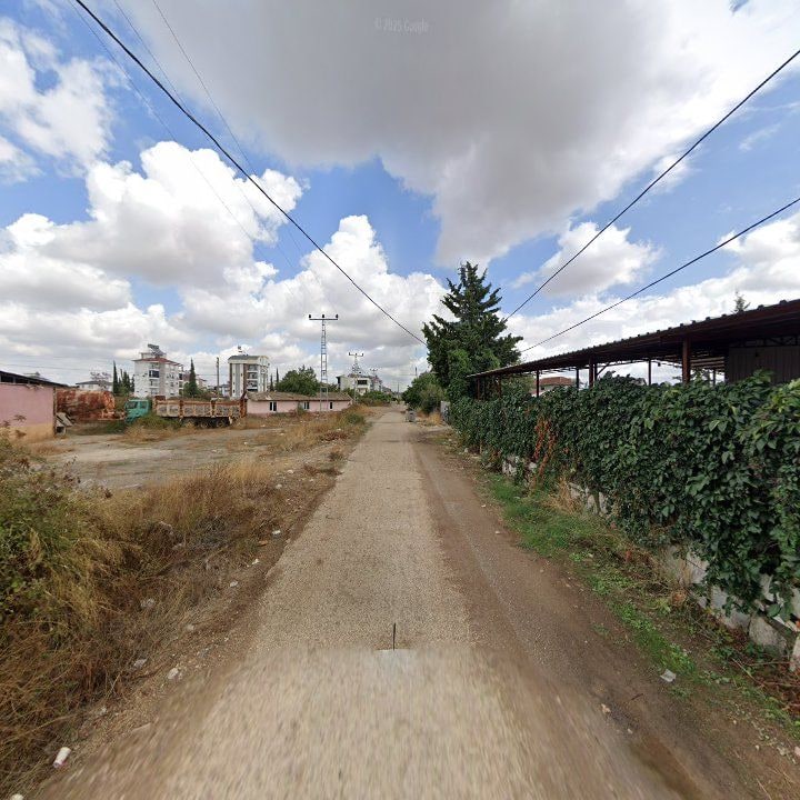 Fotoğraf 3