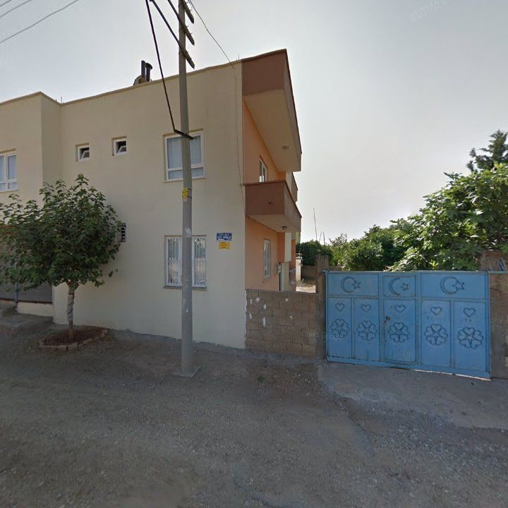 Fotoğraf 3