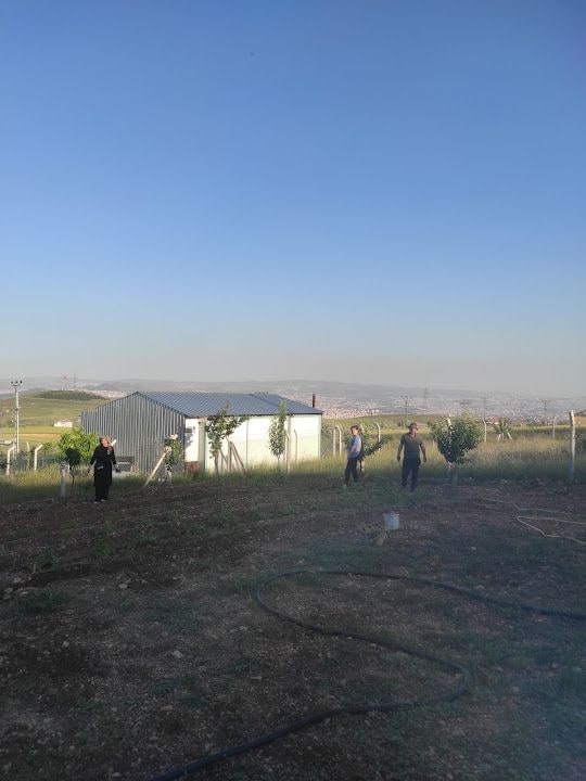 Fatih'in Bahçesi