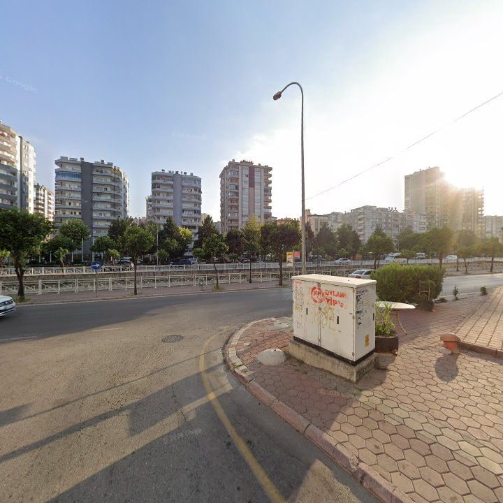 Fotoğraf 10