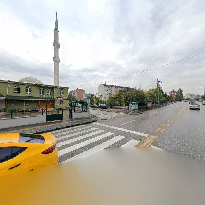 Fotoğraf 5