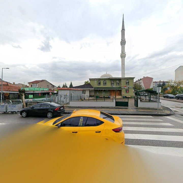 Fotoğraf 7