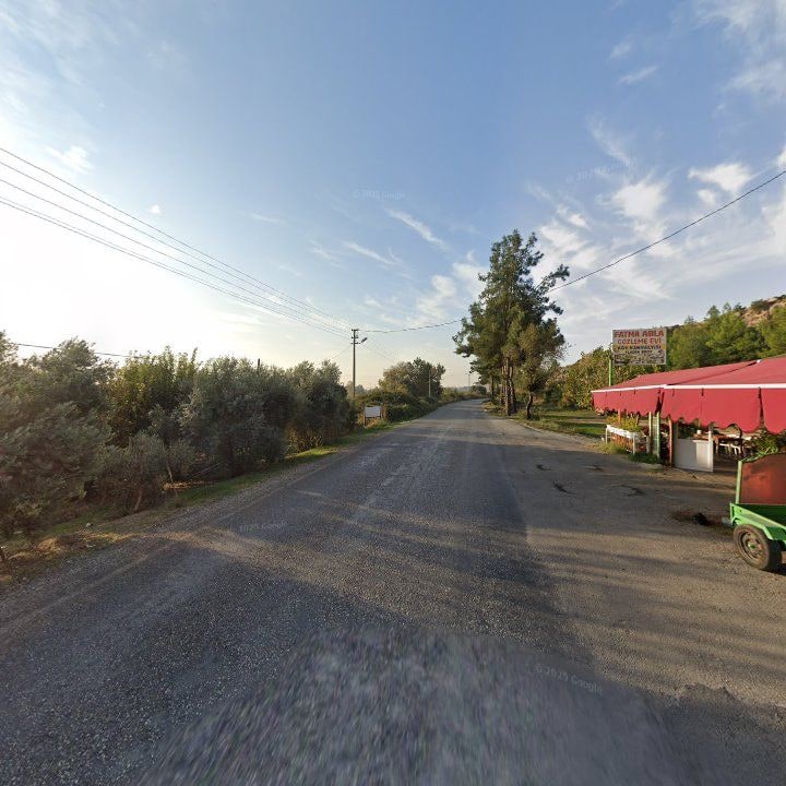 Fotoğraf 11