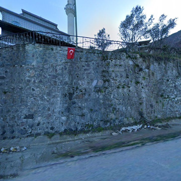 Fotoğraf 8