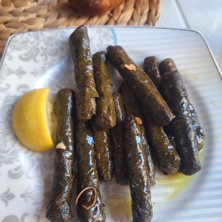 Fotoğraf 12