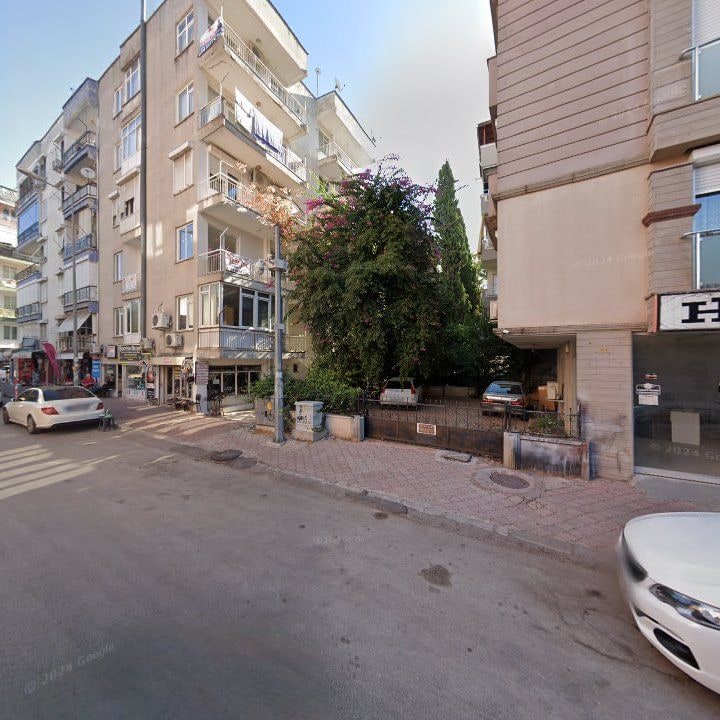 Fotoğraf 16