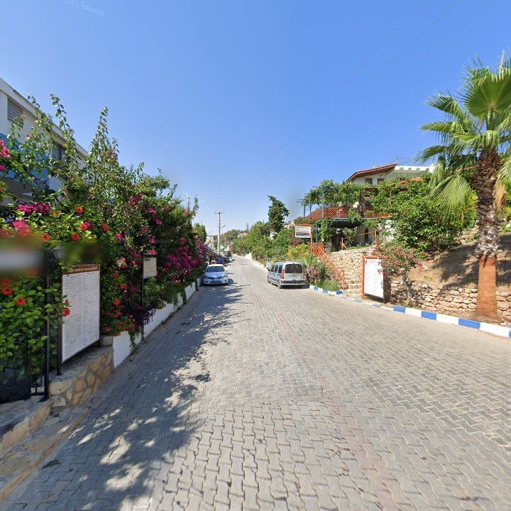 Fotoğraf 8