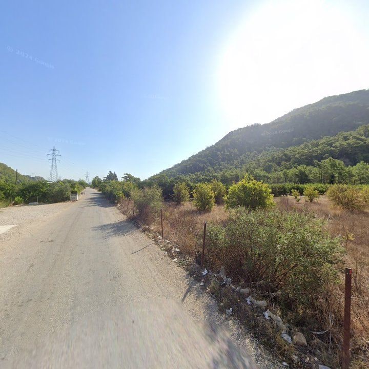 Fotoğraf 7
