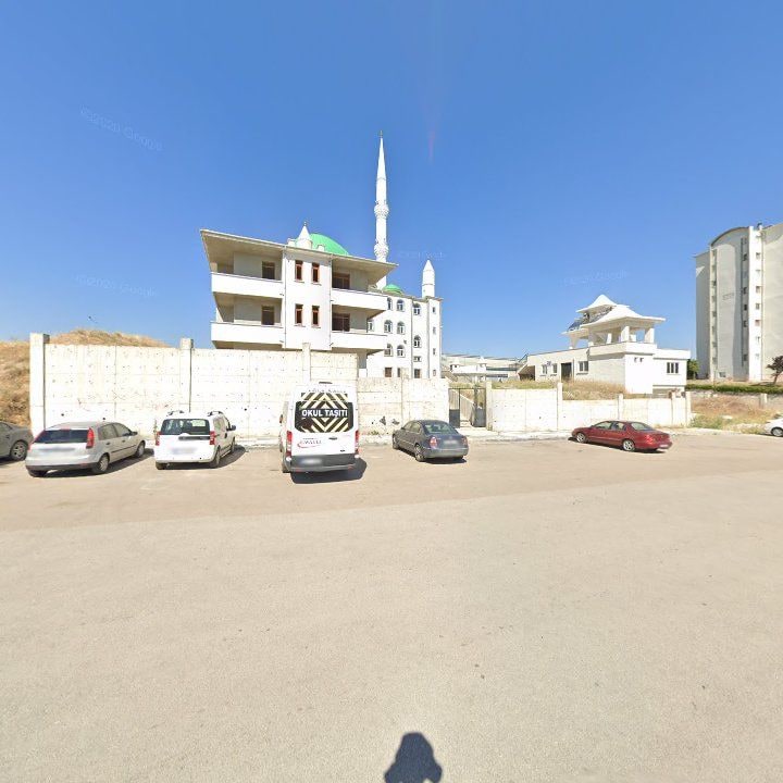 Fotoğraf 12