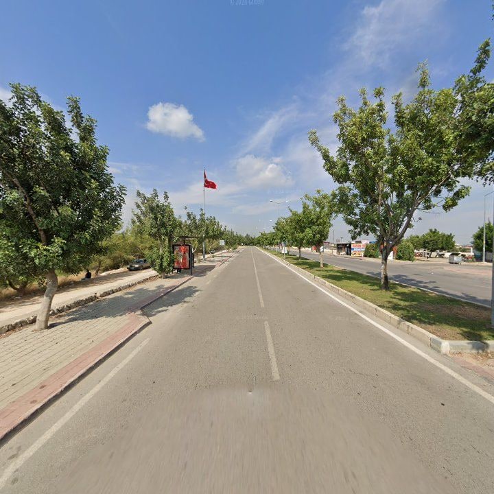 Fotoğraf 8