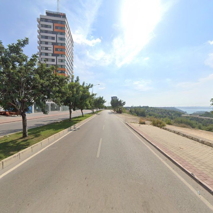 Fotoğraf 10