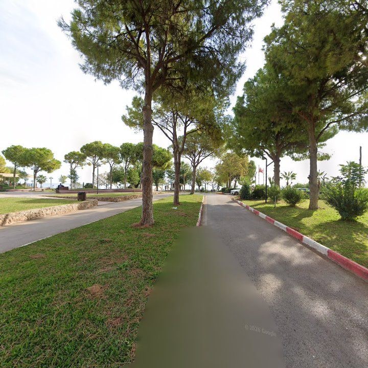 Fotoğraf 11