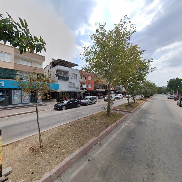 Fotoğraf 6