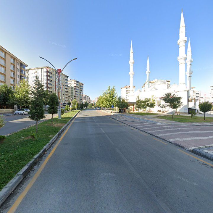 Fotoğraf 8