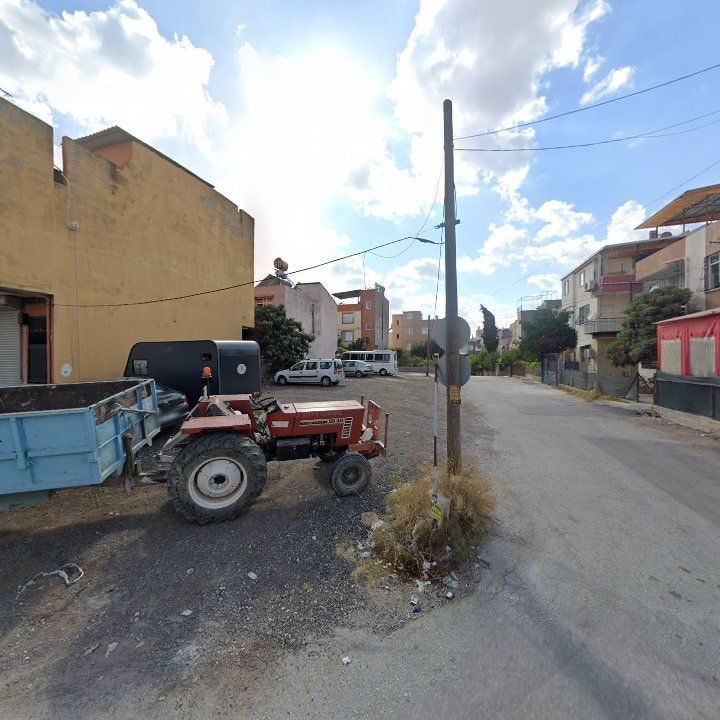 Fotoğraf 6