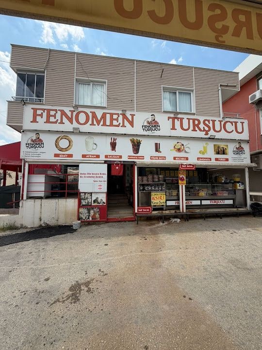 Fenomen Turşucu