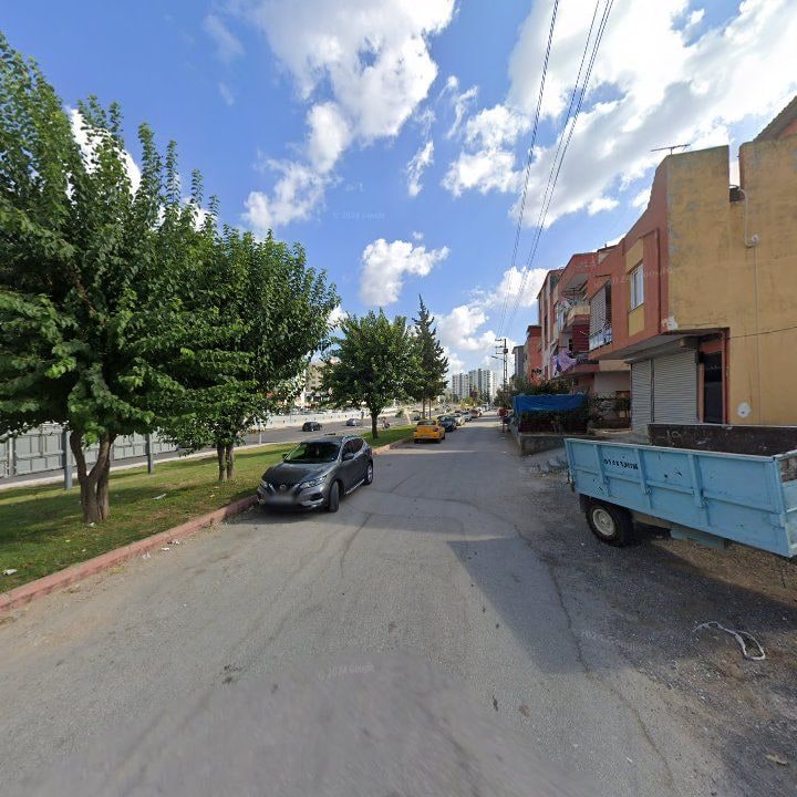 Fotoğraf 5