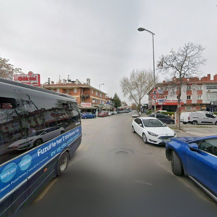 Fotoğraf 10