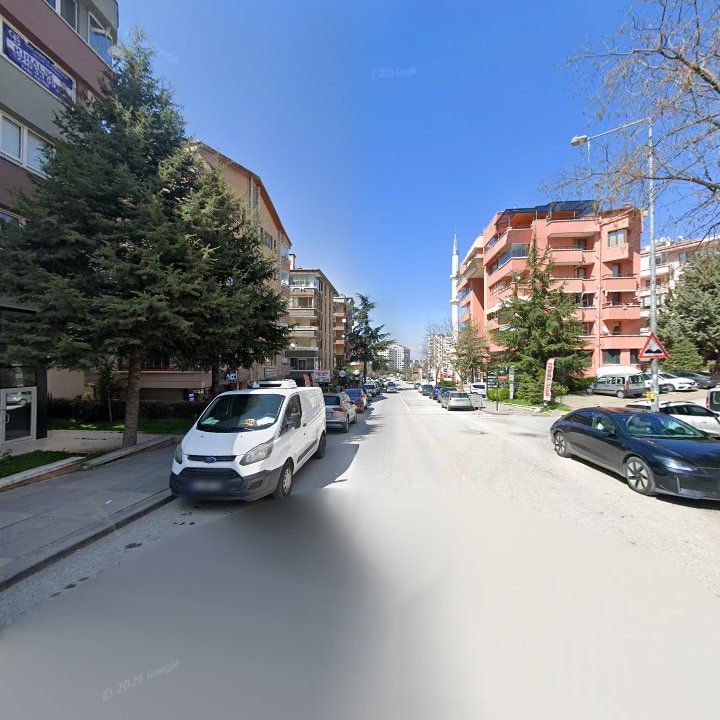 Fotoğraf 8