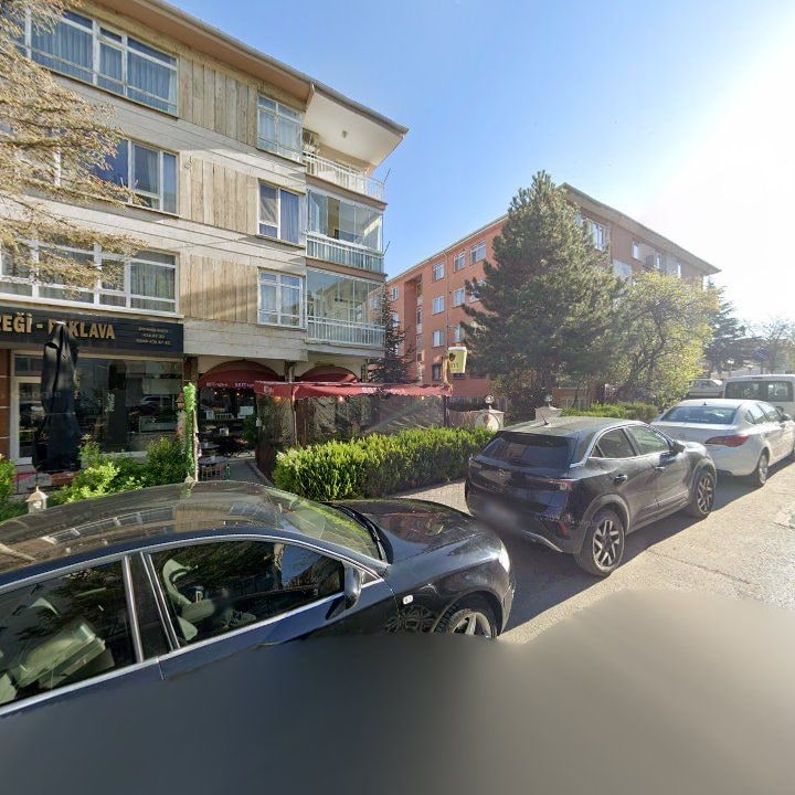 Fotoğraf 14