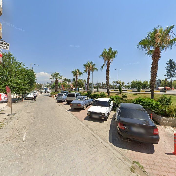 Fotoğraf 7