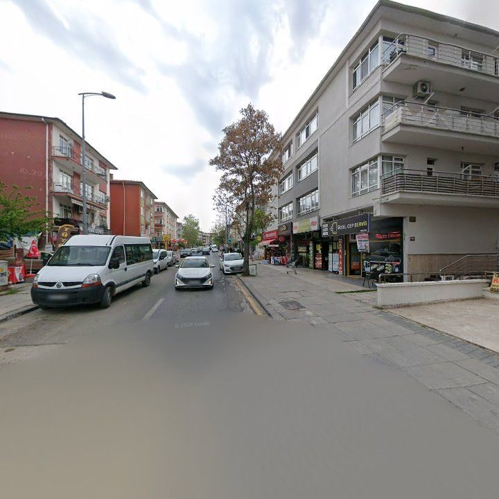 Fotoğraf 10