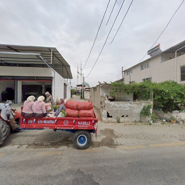 Fotoğraf 8