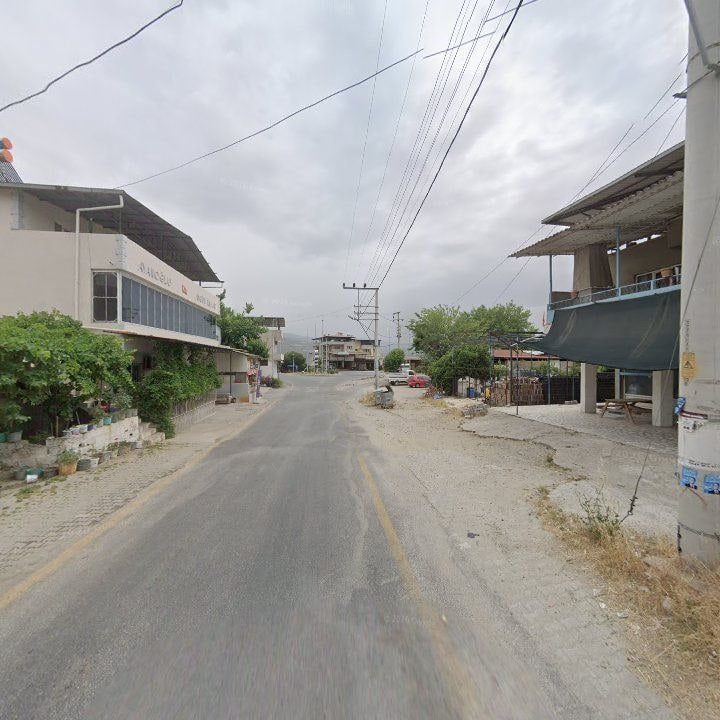 Fotoğraf 9