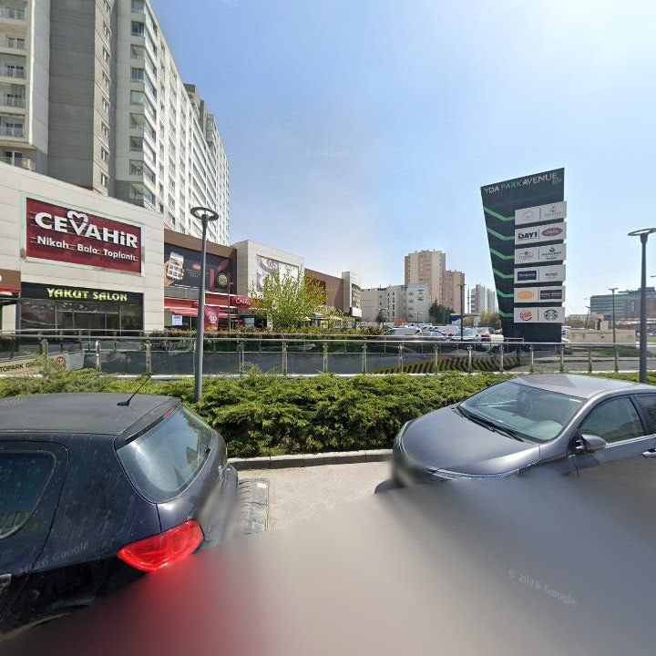 Fotoğraf 10