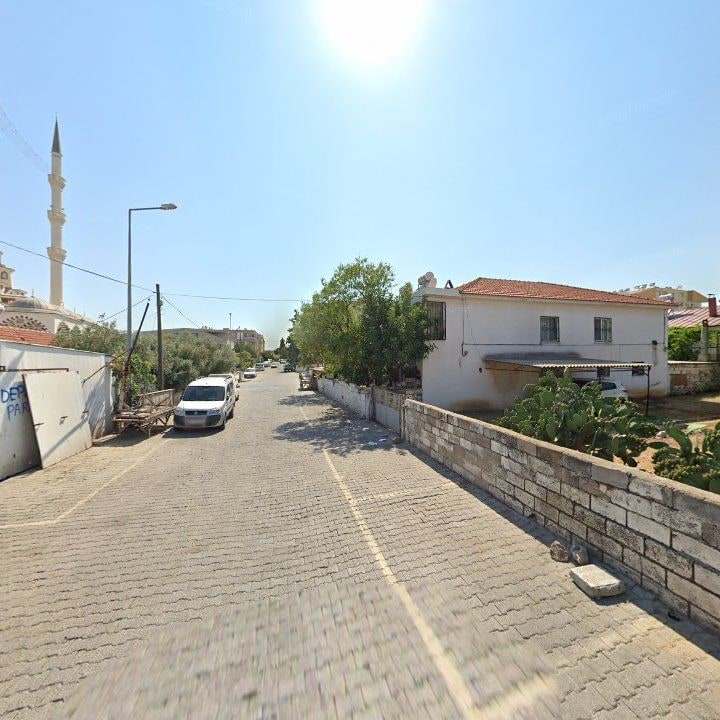 Fotoğraf 6