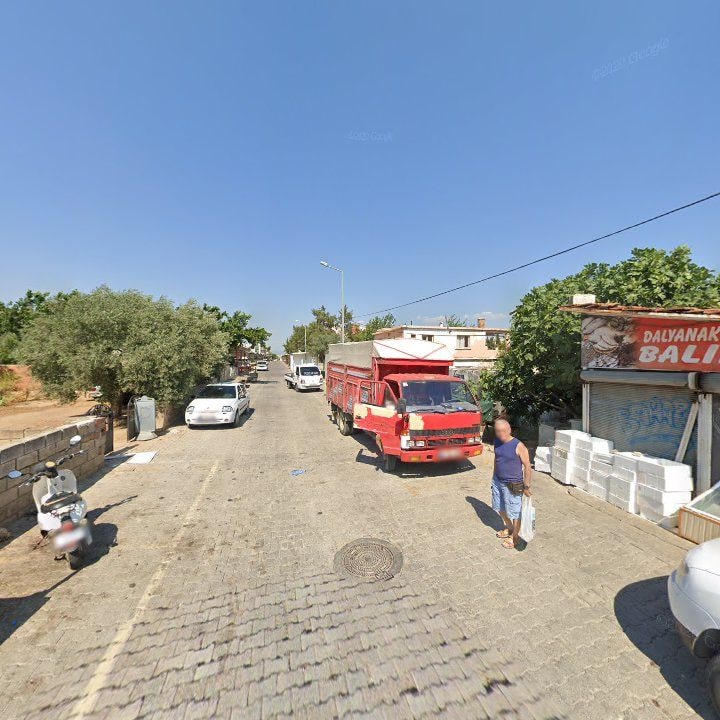 Fotoğraf 8