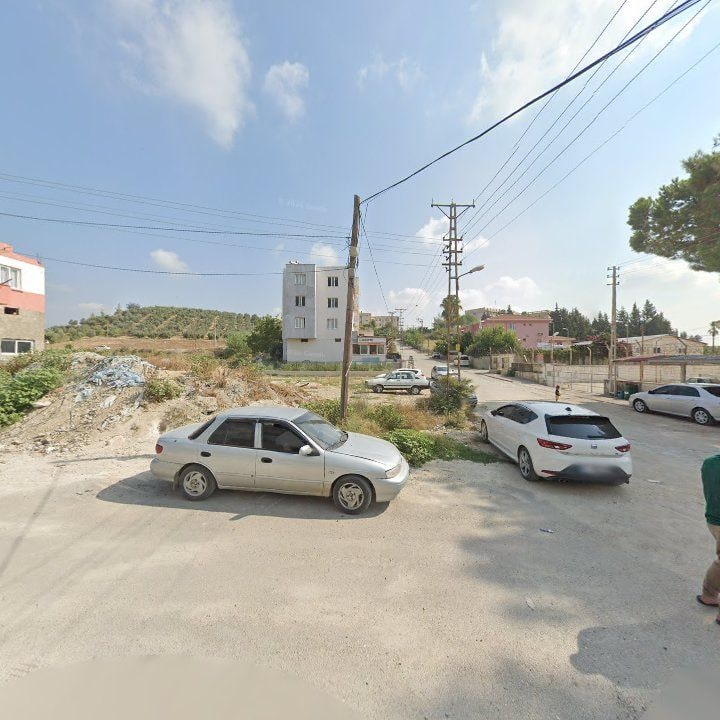 Fotoğraf 7
