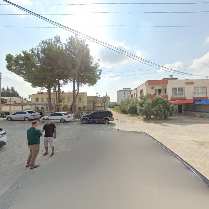 Fotoğraf 8