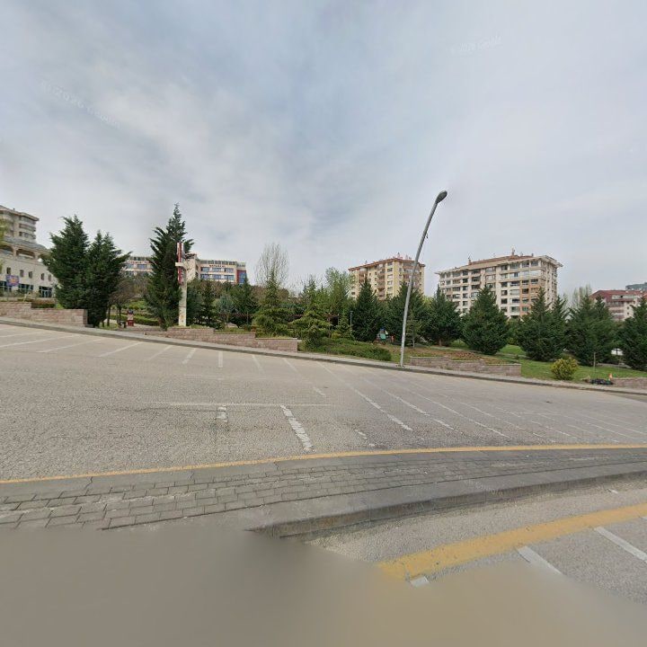 Fotoğraf 12