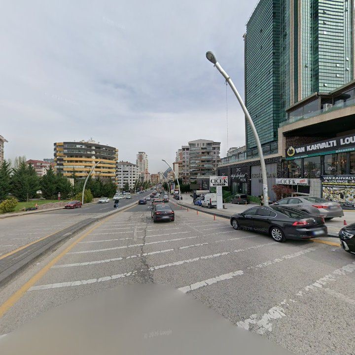 Fotoğraf 13