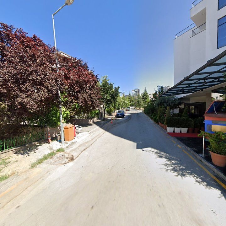 Fotoğraf 12
