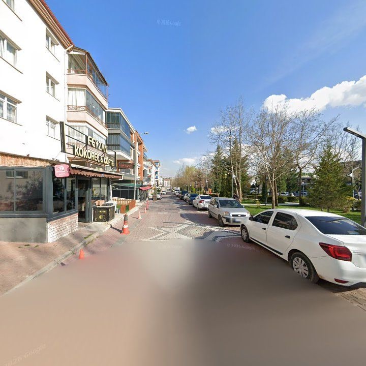 Fotoğraf 11