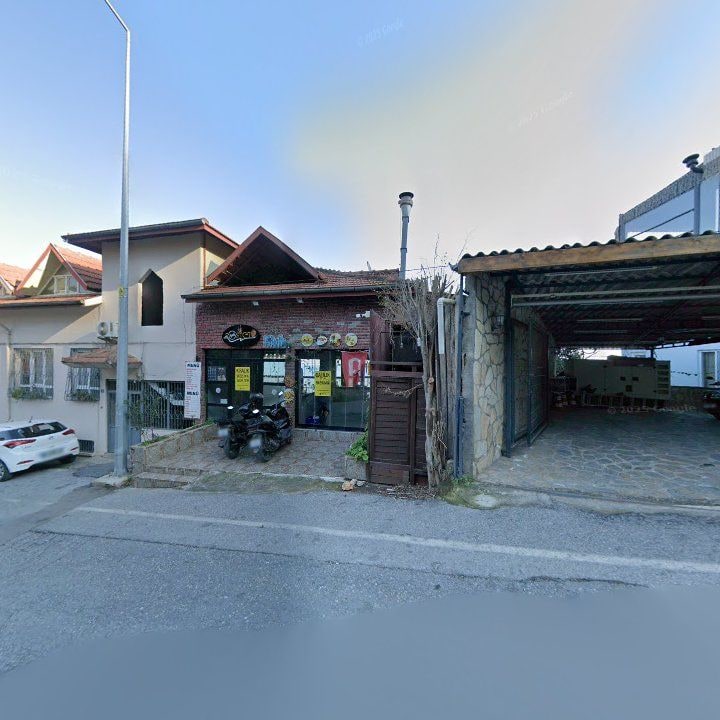 Fotoğraf 13