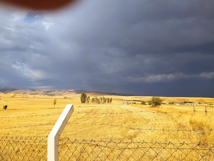 Fidan’ın Bahçesi