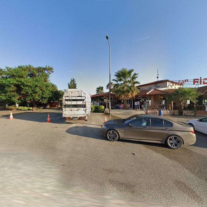 Fotoğraf 6