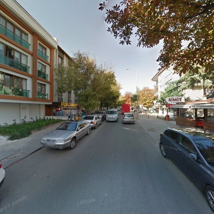 Fotoğraf 12