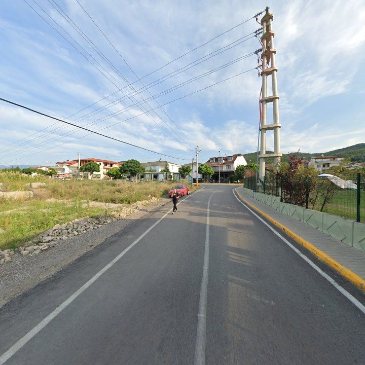 Fotoğraf 12