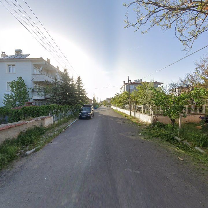 Fotoğraf 8