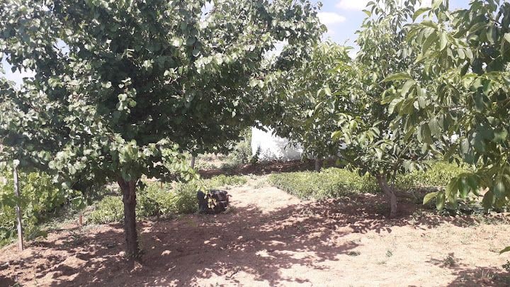 Fikret'in Bahçesi