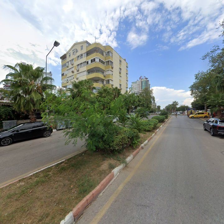 Fotoğraf 11